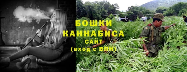 шишки Артём