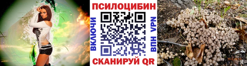 Галлюциногенные грибы Psilocybine cubensis  цены наркотик  Жирновск 